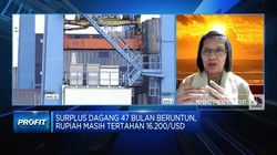 Di Balik Surplus Neraca Dagang 47 Bulan, Ekonom Ingatkan