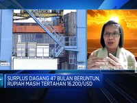 Di Balik Surplus Neraca Dagang 47 Bulan, Ekonom Ingatkan 