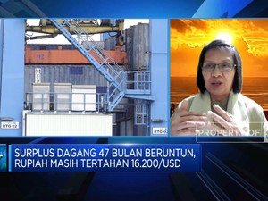 Di Balik Surplus Neraca Dagang 47 Bulan, Ekonom Ingatkan 