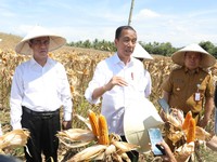 Jokowi Beri Lampu Hijau Kerja Sama RI-Vietnam soal Pangan