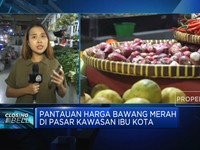 Video: Harga Bawang Merah Melonjak Hingga 100%