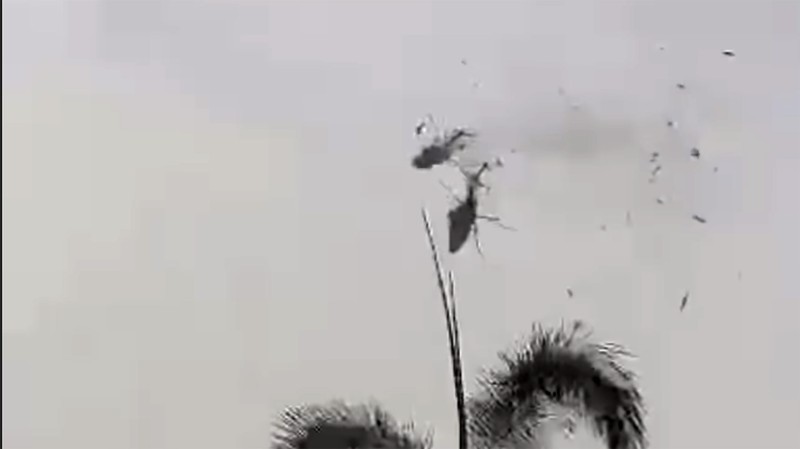 Kecelakaan Pesawat Helikopter Malaysia. (Tangkapan Layar Instagram) Kecelakaan Pesawat Helikopter Malaysia. (Tangkapan Layar Instagram)