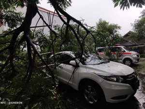Hujan Disertai Angin di Sleman, Pohon Tumbang Timpa Mobil