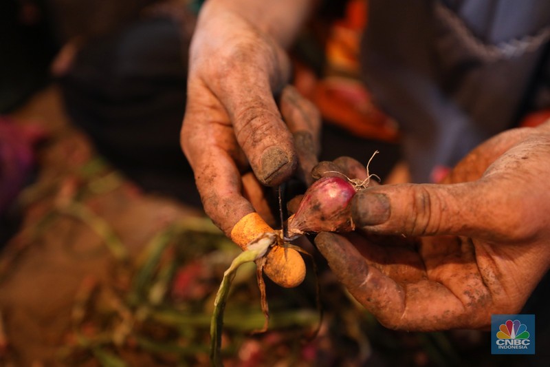 Pembeli menawar bawang merah ke penjual di salah satu Pasar Tradisional di kawasan Jakarta, Selasa (23/4/2024). (CNBC Indonesia/Tri Susilo)