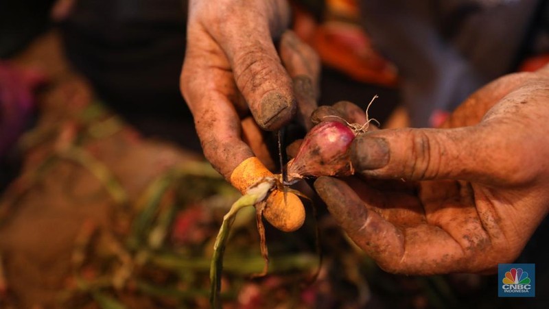 Pembeli menawar bawang merah ke penjual di salah satu Pasar Tradisional di kawasan Jakarta, Selasa (23/4/2024). (CNBC Indonesia/Tri Susilo)