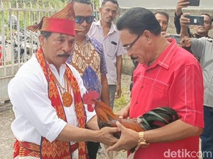 Bawa Ayam Merah, Eks Pj Walkot Kupang Daftar jadi Bacawalkot ke PDIP