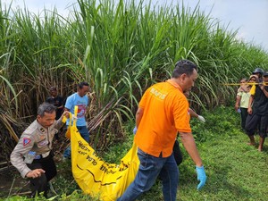 Pria Asal Kediri Ditemukan Tewas Setengah Telanjang di Kebun Tebu Jombang