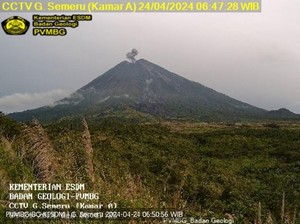 Gunung Semeru Erupsi 3 Kali Pagi Ini, Ketinggian Letusan 600 Meter