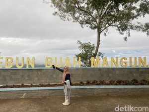 9 Destinasi di Desa Wisata Mangunan, Bikin Betah!