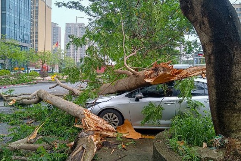 Pemerintah China mengeluarkan peringatan hujan badai tingkat tertinggi usai lebih dari 100.000 orang dievakuasi akibat banjir besar pada Selasa (23/4) waktu setempat. (REUTERS/Tingshu Wang)