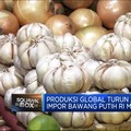 Video:Realisasi Impor Bawang Minim Hingga Ramalan Harga Migor Melesat