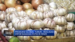 Video:Realisasi Impor Bawang Minim Hingga Ramalan Harga Migor Melesat
