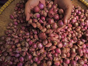 Harga Sembako Jogja Hari Ini 17 Juli 2024: Bawang Merah Turun Terus