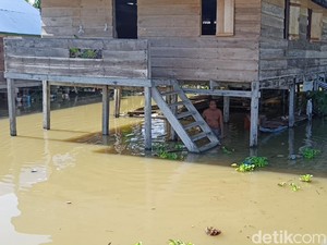 4 Hari Banjir Luwu Utara Belum Surut, Ketinggian Air 1 Meter