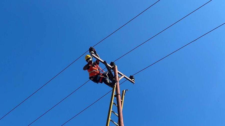 PLN