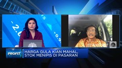 Video: Data & Pengelolaan Stok Gula Tak Jelas, Impor Rugikan Petani