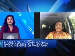 Video: Data & Pengelolaan Stok Gula Tak Jelas, Impor Rugikan Petani