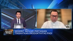 Video: Genjot Produksi Beras, Rektor IPB Minta Negara Serap Inovasi PT