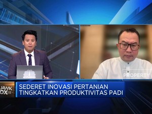 Video: Genjot Produksi Beras, Rektor IPB Minta Negara Serap Inovasi PT