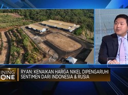 Video: Harga Energi Naik Bebani Biaya Produksi, Penambang Siap Hadapi?