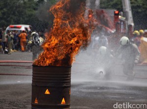 Ternyata, Kerusakan Alam Bisa Ganggu Keamanan Negara sampai Perang