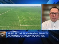 Video: Inovasi Benih Padi Unggul IPB Yang Kuat Hadapi Perubahan Iklim