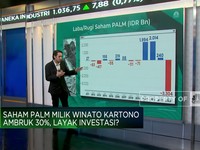 Video: Kinerja PALM Merosot & Saham Ambruk 30%, Masih Layak Investasi?