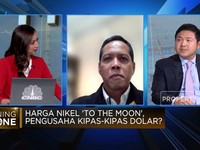 Video: Harga Nikel Terbang, Penambang Kipas-kipas Dolar?