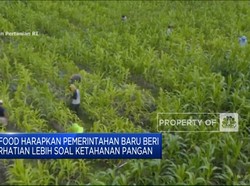Video: Singgung Ketahanan Pangan, Ini Harapan ID Food Pada Pemerintah