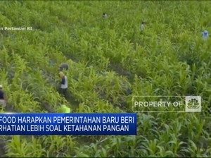 Video: Singgung Ketahanan Pangan, Ini Harapan ID Food Pada Pemerintah