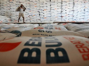 Stok RI Berlimpah, Bikin Harga Beras Dunia Merosot