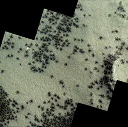 Ada Laba-Laba Muncul di Kutub Selatan Mars, Astronom Bilang Begini