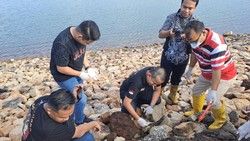 Geger Penemuan Sekarung Tulang di Batam, Polisi Ungkap Fakta Sebenarnya