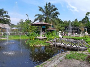 Rahmat Zoo and Park: Lokasi, Jam Buka, HTM, Wahana, dan Fasilitas