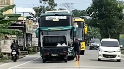 Viral Aksi Sopir Pikap Pukul Mundur 2 Bus Lawan Arah di Kebumen