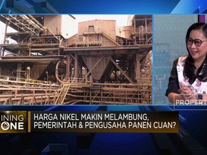 Video: Harga Nikel Melambung, Pengusaha Panen Cuan?