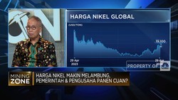 Video: Tertinggi 7 Bulan Terakhir, Ini Penyebab Harga Nikel Melambung