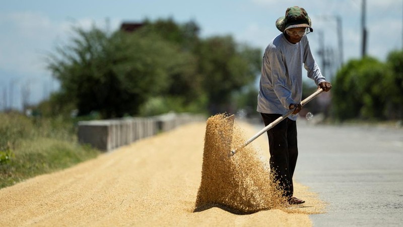 Panas ekstrem dijadi ancaman yang menyebabkan gagal panen. (REUTERS/Eloisa Lopez)