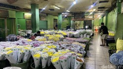 Pasar Bunga Rawa Belong Tempat Belanja Bunga dan Konten Sekaligus