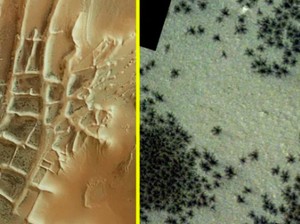 Munculnya Ratusan Laba-laba Hitam di Mars, Pertanda Apa?