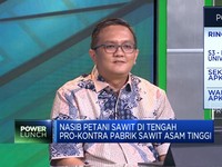 Video:Nasib Petani Sawit di Tengah Pro-Kontra Pabrik Sawit Asam Tinggi
