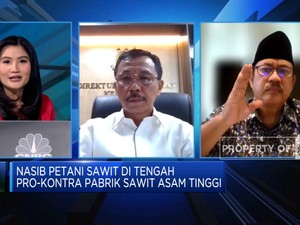 Video: Solusi Atasi Polemik Hadirnya Pabrik Sawit Asam Tinggi