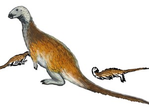 Ilmuwan Temukan Fosil Dinosaurus yang Jago Lari