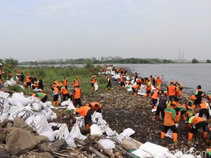 DLH DKI Bersih-bersih Pesisir Marunda Kepu, 83 Meter Kubik Sampah Diangkut