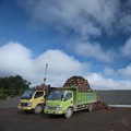 Dharma Satya Nusantara (DSNG) Cetak Laba Rp 229 M di Kuartal-I 2024