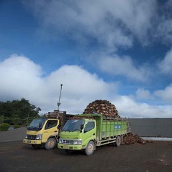 Dharma Satya Nusantara (DSNG) Cetak Laba Rp 229 M di Kuartal-I 2024