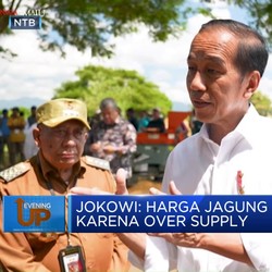 Video: Jokowi Soroti Harga Jagung, Turun Karena Over Supply