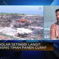Video: Menilik Nasib Timah Bangka Belitung Usai 5 Smelter Tutup