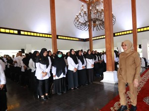 Bagaimana Nasib Honorer Jika Tak Lulus PPPK 2024? Begini Penjelasan MenPANRB