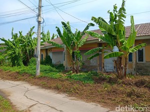 Nasib Rumah Murah Jokowi Kini: Ditumbuhi Semak Belukar, Banyak yang Hancur